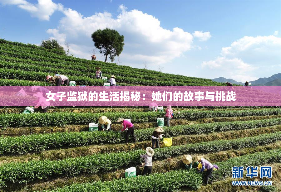 女子监狱的生活揭秘：她们的故事与挑战