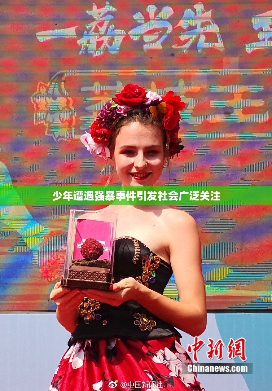 少年遭遇强暴事件引发社会广泛关注