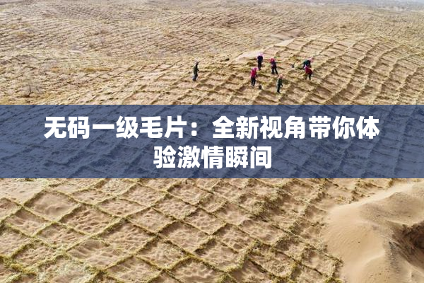 无码一级毛片：全新视角带你体验激情瞬间