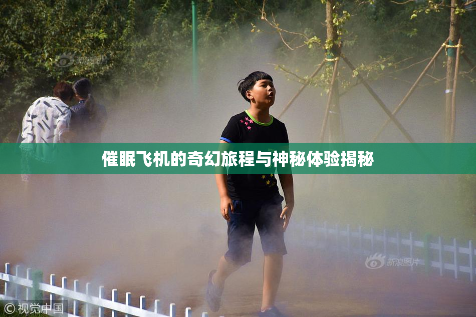 催眠飞机的奇幻旅程与神秘体验揭秘