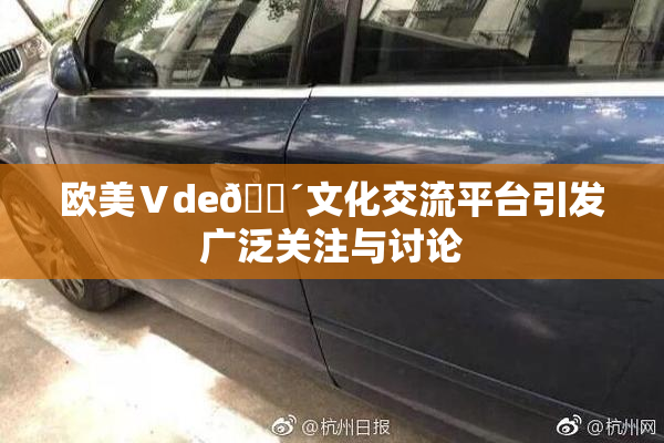 欧美Ⅴde🔴文化交流平台引发广泛关注与讨论