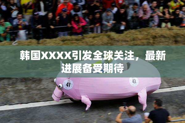 韩国XXXX引发全球关注，最新进展备受期待