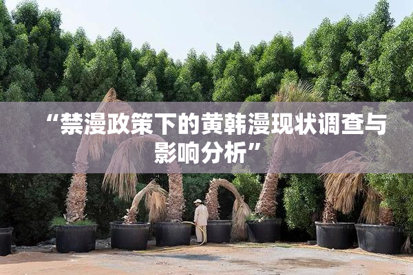 “禁漫政策下的黄韩漫现状调查与影响分析”