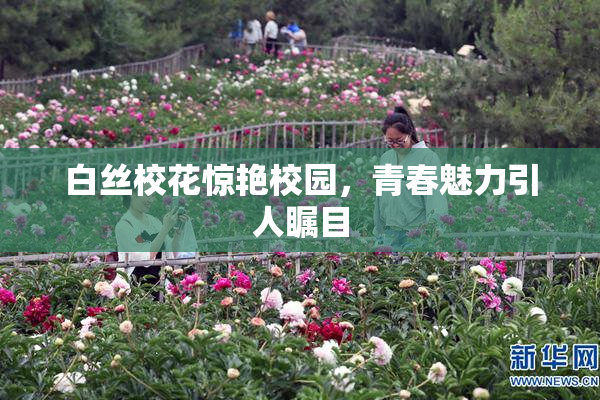 白丝校花惊艳校园，青春魅力引人瞩目