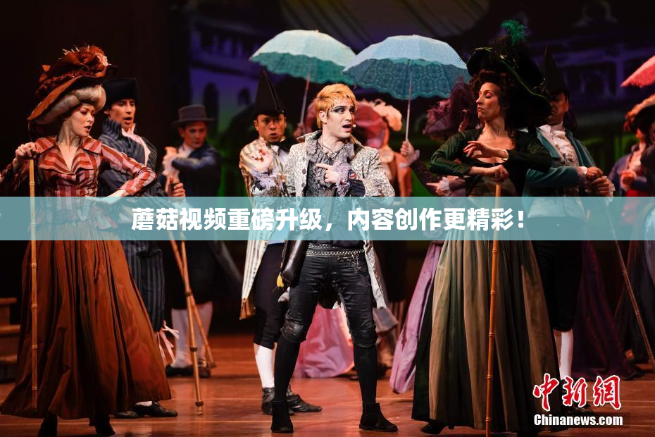蘑菇视频重磅升级，内容创作更精彩！
