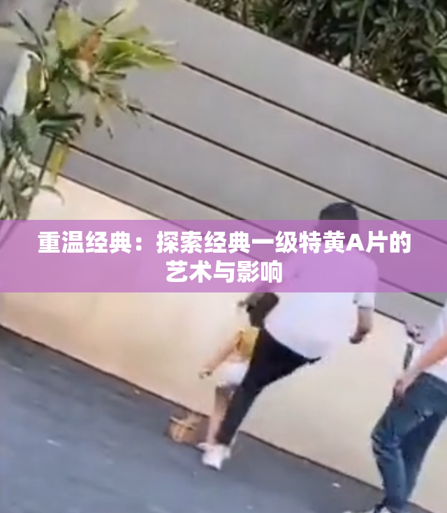 重温经典：探索经典一级特黄A片的艺术与影响