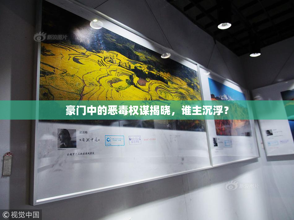 豪门中的恶毒权谋揭晓，谁主沉浮？