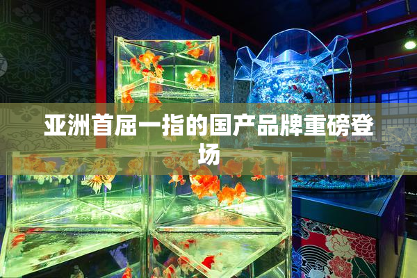 亚洲首屈一指的国产品牌重磅登场