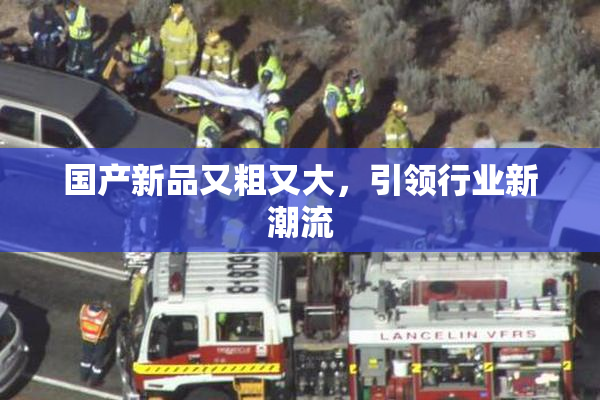 国产新品又粗又大，引领行业新潮流