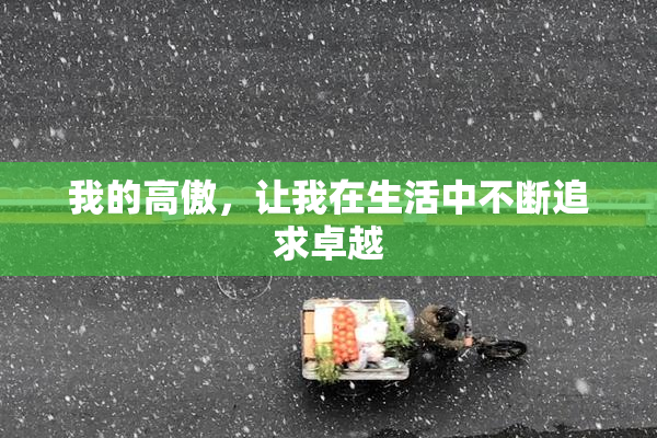 我的高傲，让我在生活中不断追求卓越