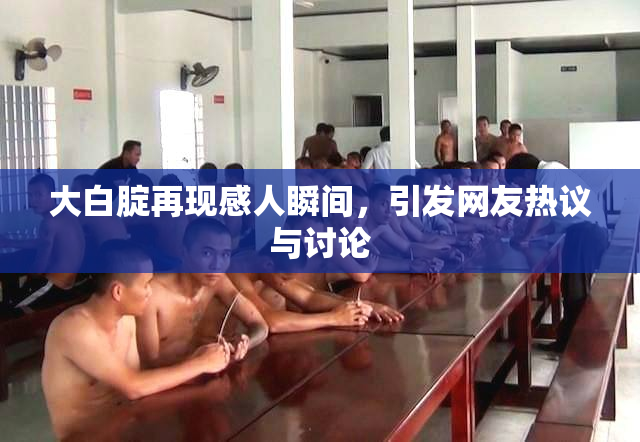 大白腚再现感人瞬间，引发网友热议与讨论