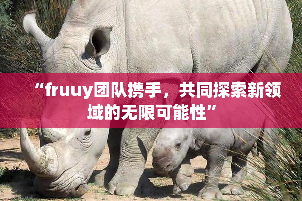“fruuy团队携手，共同探索新领域的无限可能性”