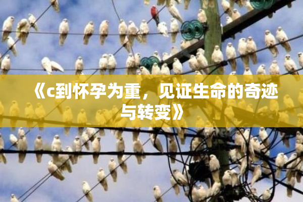 《c到怀孕为重，见证生命的奇迹与转变》