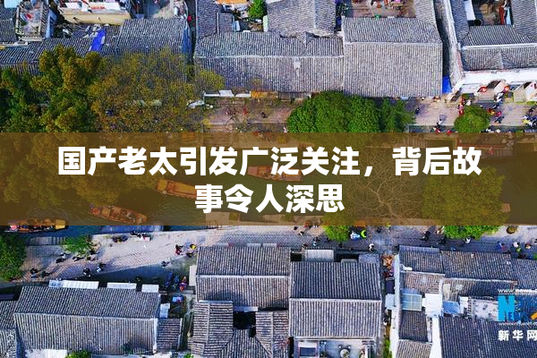 国产老太引发广泛关注，背后故事令人深思