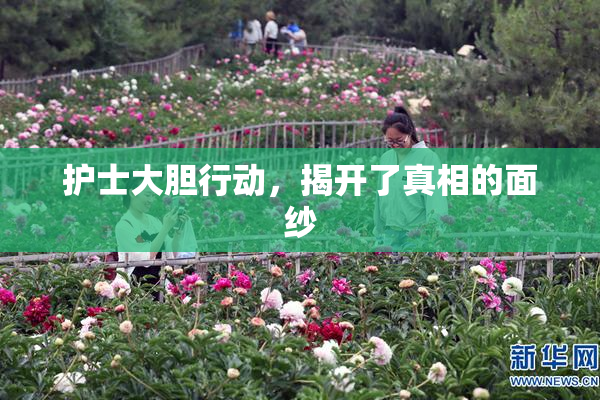 护士大胆行动，揭开了真相的面纱