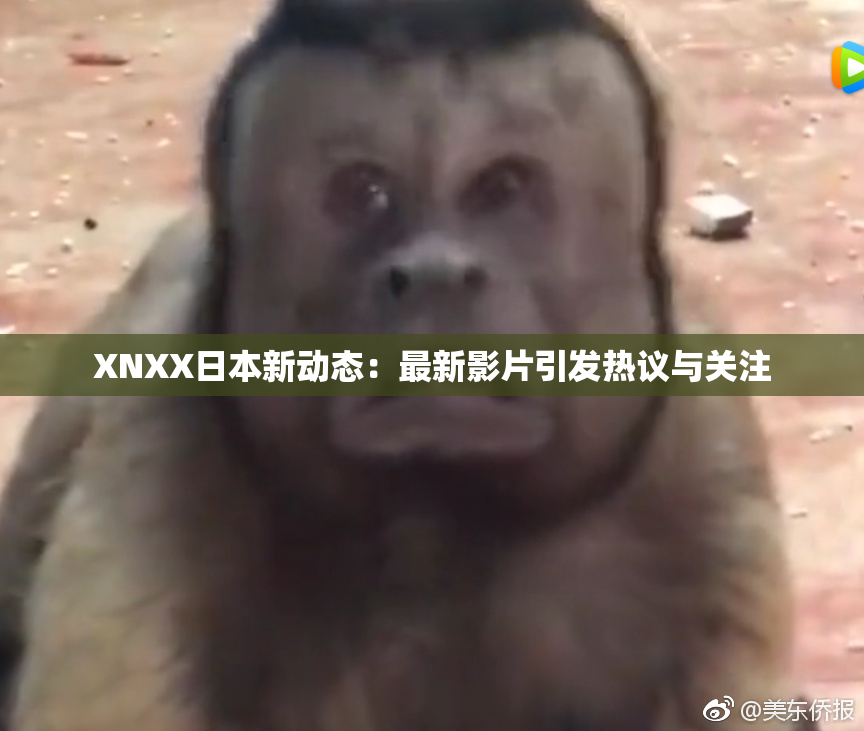 XNXX日本新动态：最新影片引发热议与关注
