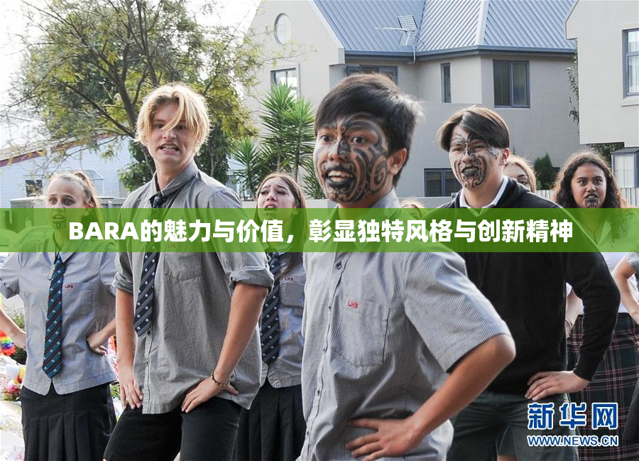 BARA的魅力与价值，彰显独特风格与创新精神