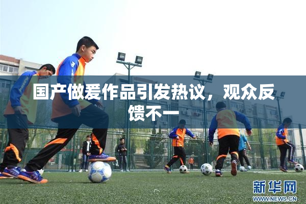国产做爰作品引发热议，观众反馈不一