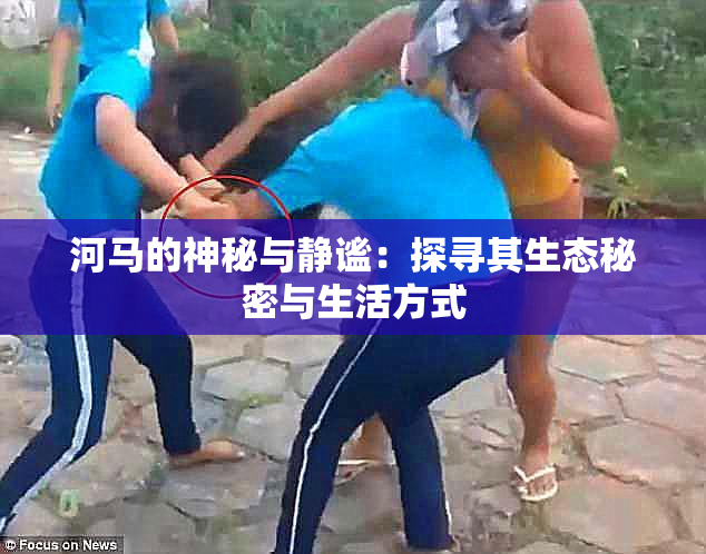 河马的神秘与静谧：探寻其生态秘密与生活方式