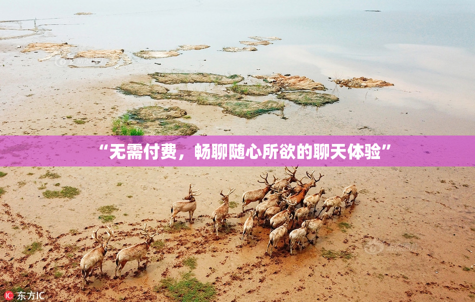 “无需付费，畅聊随心所欲的聊天体验”