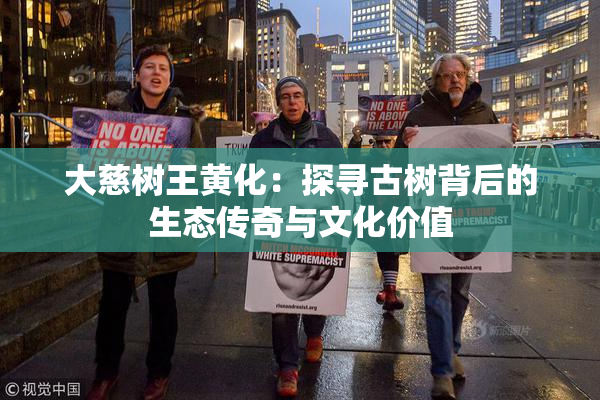大慈树王黄化：探寻古树背后的生态传奇与文化价值