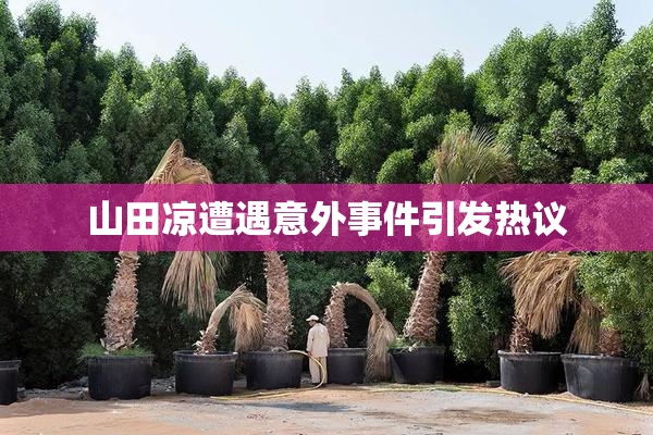 山田凉遭遇意外事件引发热议