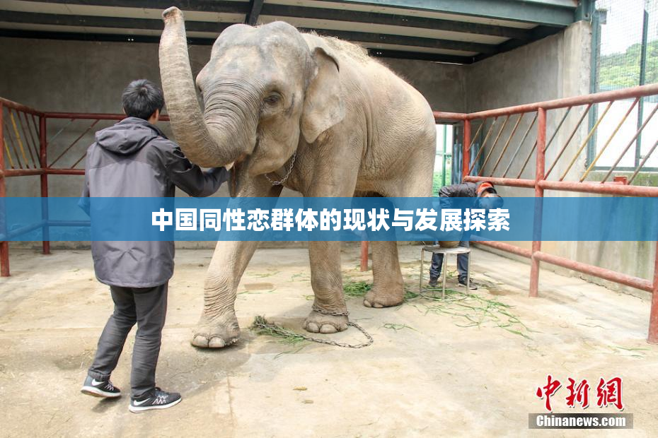 中国同性恋群体的现状与发展探索