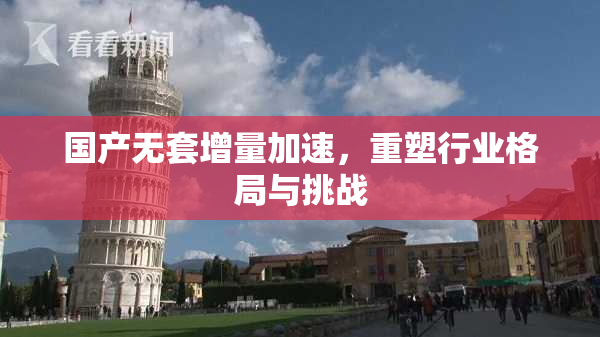 国产无套增量加速，重塑行业格局与挑战