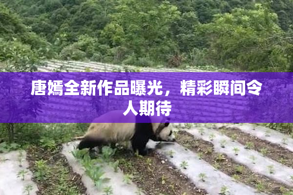 唐嫣全新作品曝光，精彩瞬间令人期待