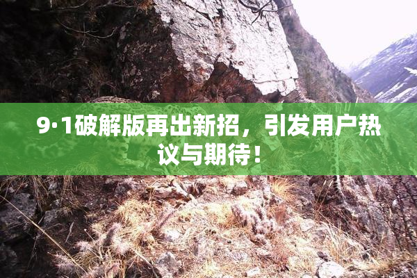 9·1破解版再出新招，引发用户热议与期待！