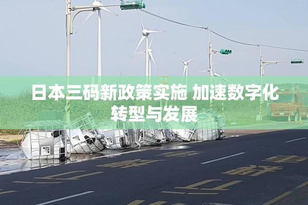 日本三码新政策实施 加速数字化转型与发展