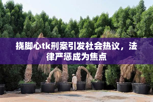 挠脚心tk刑案引发社会热议，法律严惩成为焦点