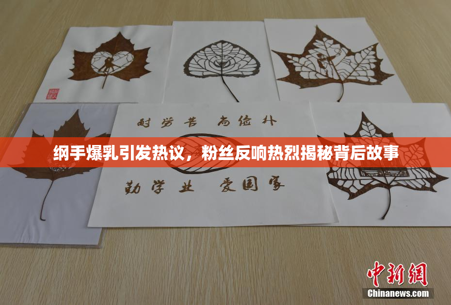 纲手爆乳引发热议，粉丝反响热烈揭秘背后故事
