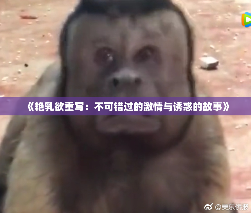 《艳乳欲重写：不可错过的激情与诱惑的故事》