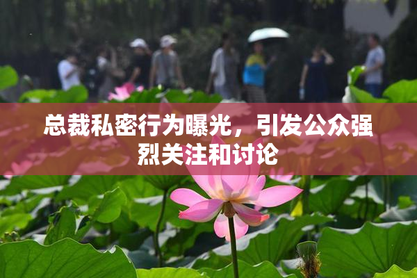 总裁私密行为曝光，引发公众强烈关注和讨论