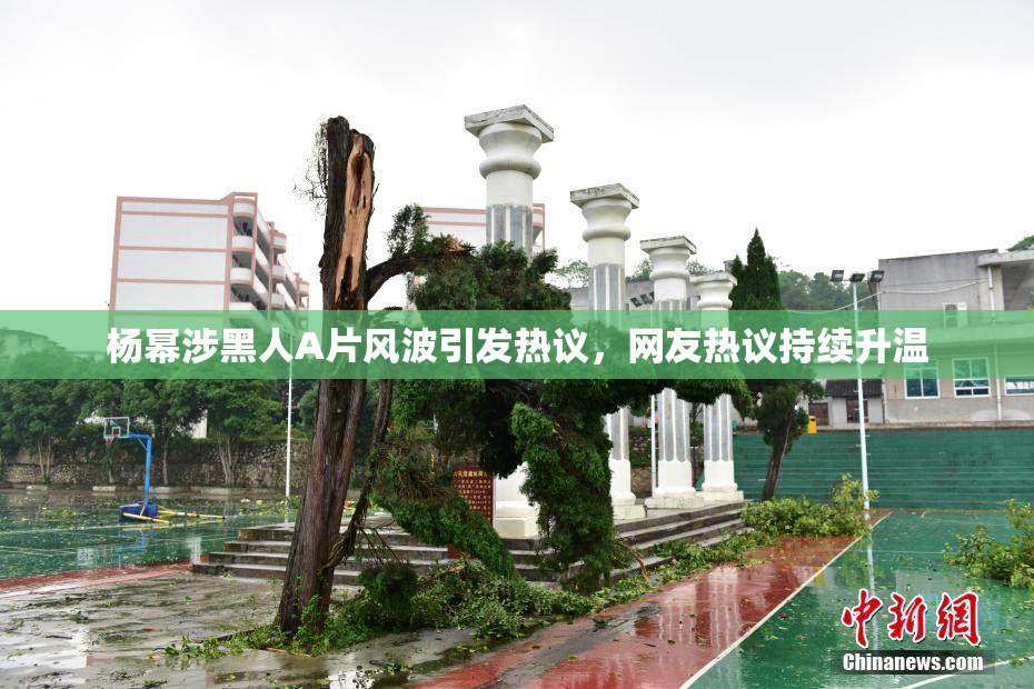 杨幂涉黑人A片风波引发热议，网友热议持续升温