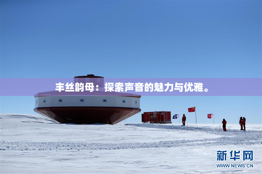 丰丝韵母：探索声音的魅力与优雅。