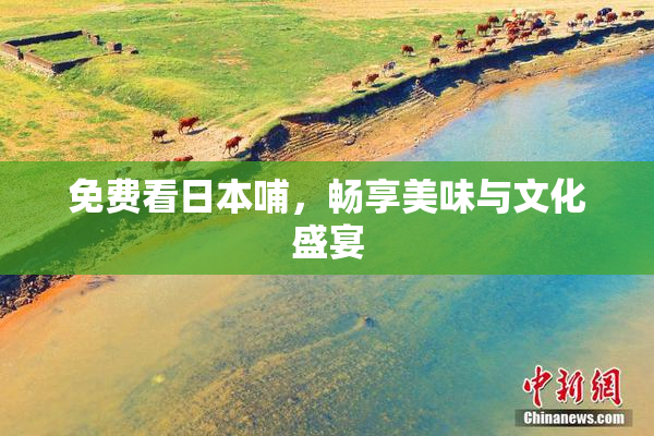 免费看日本哺，畅享美味与文化盛宴