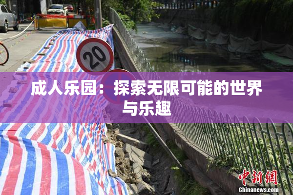 成人乐园：探索无限可能的世界与乐趣