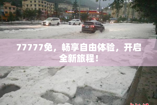 77777免，畅享自由体验，开启全新旅程！