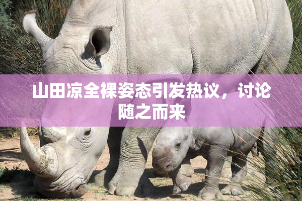 山田凉全裸姿态引发热议，讨论随之而来