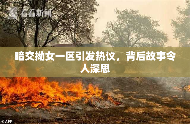 暗交拗女一区引发热议，背后故事令人深思