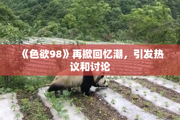 《色欲98》再掀回忆潮，引发热议和讨论
