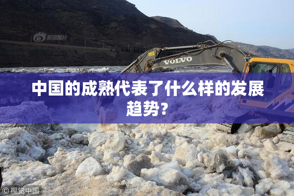 中国的成熟代表了什么样的发展趋势？