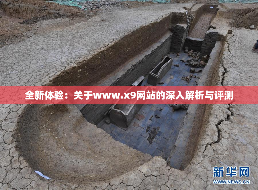 全新体验：关于www.x9网站的深入解析与评测