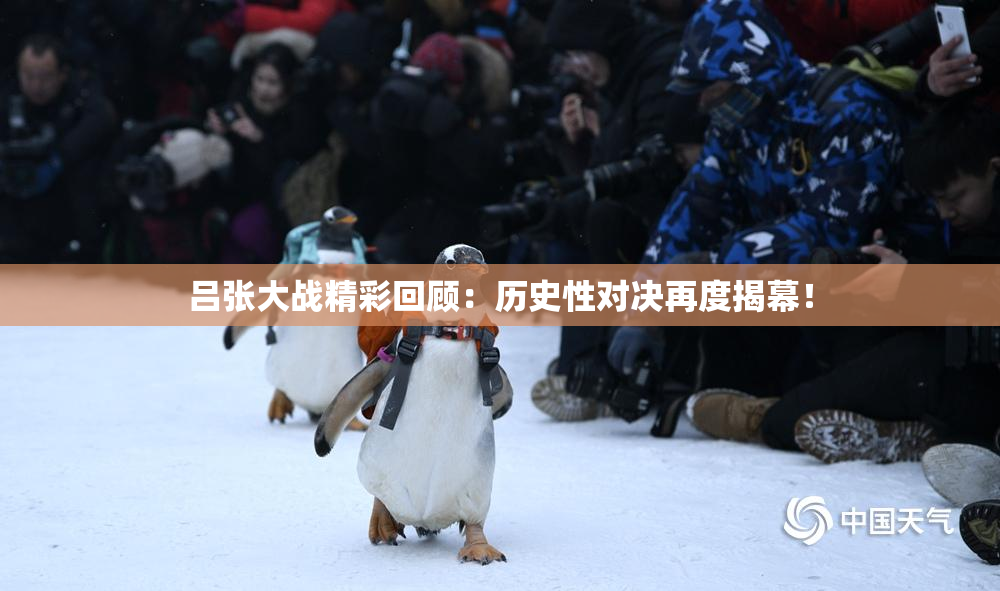 吕张大战精彩回顾：历史性对决再度揭幕！