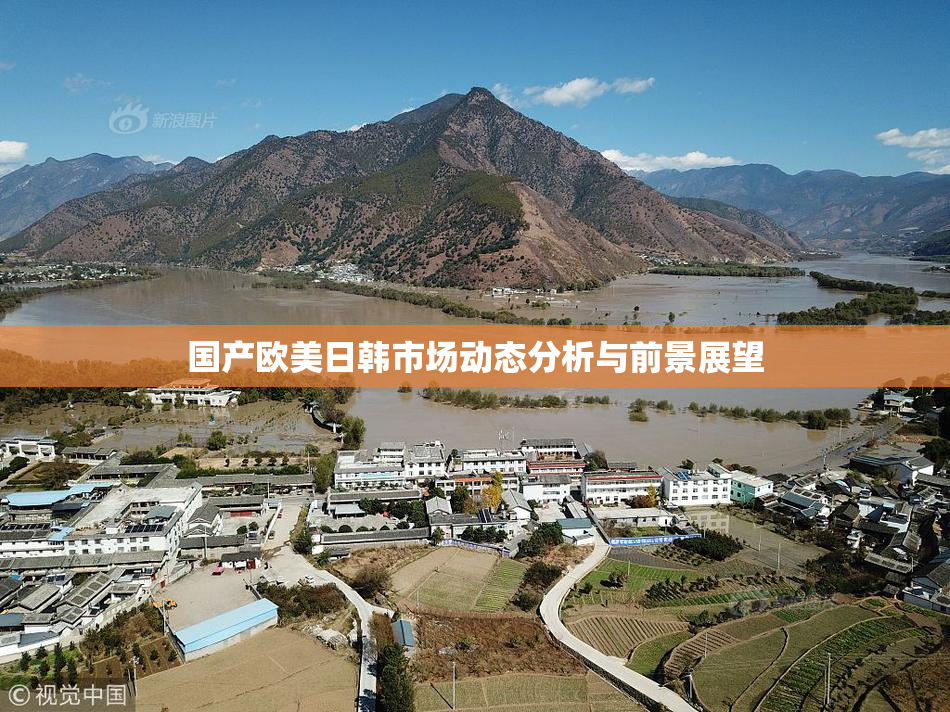 国产欧美日韩市场动态分析与前景展望