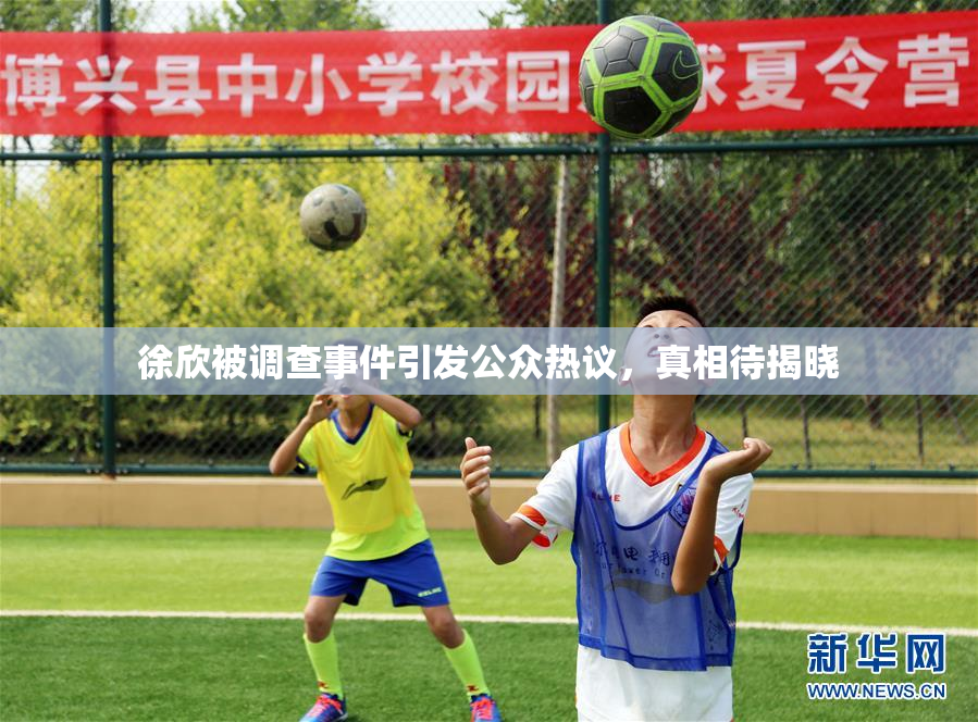 徐欣被调查事件引发公众热议，真相待揭晓