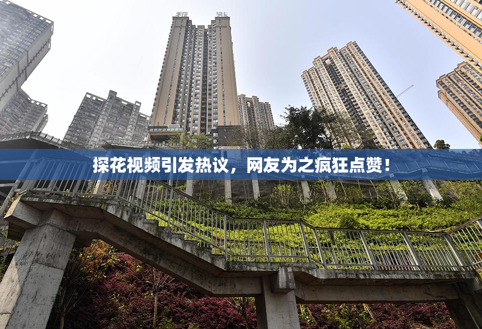 探花视频引发热议，网友为之疯狂点赞！