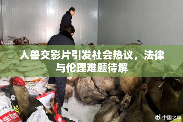 人兽交影片引发社会热议，法律与伦理难题待解